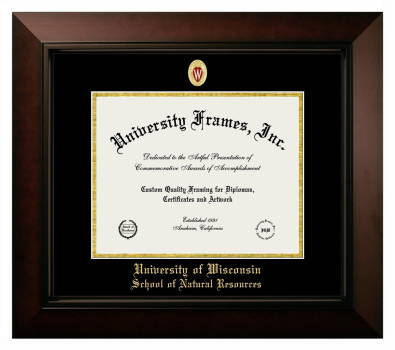 University of Wisconsin (Madison) School of Natural Resources Diploma Frame in Legacy Black Cherry with Black & Gold Mats for document: 8 1/2"h x 11"w  