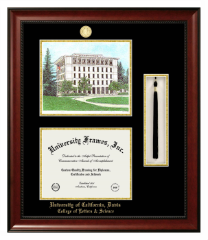 University of California Davis College of Letters & Science Double Opening with Campus Image & Tassel Box (Stacked) Frame in Avalon Mahogany with Black & Gold Mats for document: 8 1/2"h x 11"w  