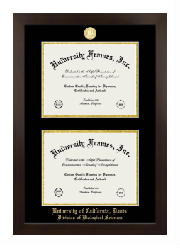 University of California Davis Division of Biological Sciences Double Diploma Frame in Manhattan Espresso with Black & Gold Mats for document: 8 1/2"h x 11"w  , document: 8 1/2"h x 11"w  
