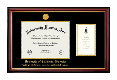 University of California Riverside College of Natural and Agricultural Sciences Diploma with Announcement Frame in Petite Mahogany with Gold Trim with Black & Gold Mats for document: 8 1/2"h x 11"w  , diploma: 7"h x 4"w  