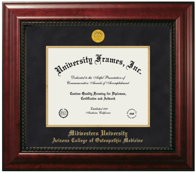 Midwestern University Arizona College of Osteopathic Medicine (Glendale, AZ) Diploma Frame in Executive with Gold Fillet with Black Suede Mat for document: 8 1/2"h x 11"w  
