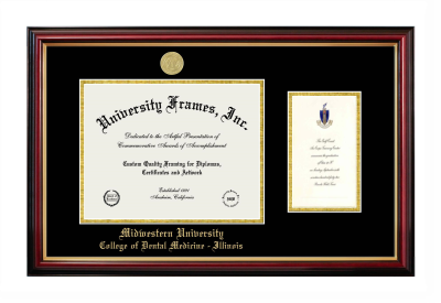 Midwestern University College of Dental Medicine - Illinois Diploma with Announcement Frame in Petite Mahogany with Gold Trim with Black & Gold Mats for document: 8 1/2"h x 11"w  , diploma: 7"h x 4"w  