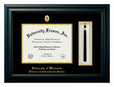 University of Wisconsin (Madison) Division of International Studies Diploma with Tassel Box Frame in Satin Black with Black & Gold Mats for document: 8 1/2"h x 11"w  