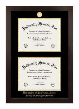 University of California Davis College of Biological Sciences Double Diploma Frame in Manhattan Espresso with Black & Gold Mats for document: 8 1/2"h x 11"w  , document: 8 1/2"h x 11"w  