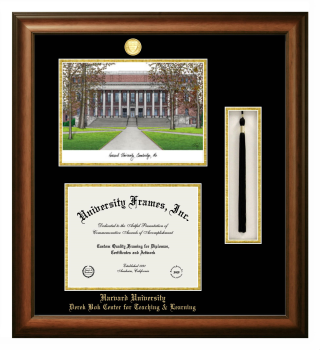Harvard University Derek Bok Center for Teaching & Learning Double Opening with Campus Image & Tassel Box (Stacked) Frame in Satin Walnut with Black & Gold Mats for document: 8 1/2"h x 11"w  