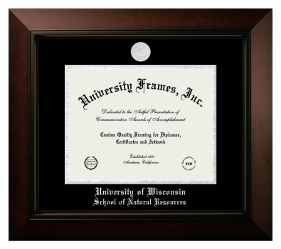 University of Wisconsin (Madison) School of Natural Resources Diploma Frame in Legacy Black Cherry with Black & Silver Mats for document: 8 1/2"h x 11"w  