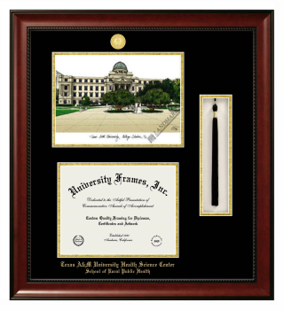 Texas A&M University Health Science Center School of Rural Public Health Double Opening with Campus Image & Tassel Box (Stacked) Frame in Avalon Mahogany with Black & Gold Mats for document: 8 1/2"h x 11"w  