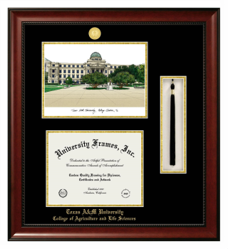 Texas A&M University College of Agriculture and Life Sciences Double Opening with Campus Image & Tassel Box (Stacked) Frame in Avalon Mahogany with Black & Gold Mats for document: 8 1/2"h x 11"w  