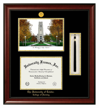 University of Toledo College of Nursing Double Opening with Campus Image & Tassel Box (Stacked) Frame in Avalon Mahogany with Black & Gold Mats for document: 8 1/2"h x 11"w  