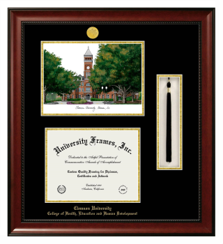Clemson University College of Health, Education and Human Development Double Opening with Campus Image & Tassel Box (Stacked) Frame in Avalon Mahogany with Black & Gold Mats for document: 8 1/2"h x 11"w  