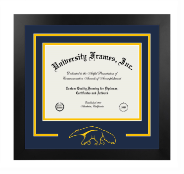 University of California Irvine School of Biological Sciences Logo Mat Frame in Manhattan Black with Navy Blue & Amber Mats for document: 8 1/2"h x 11"w  