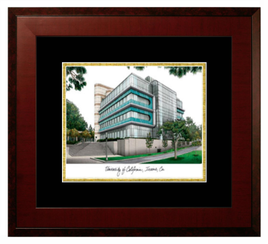 University of California Irvine Lithograph Only Frame in Honors Mahogany with Black & Gold Mats
