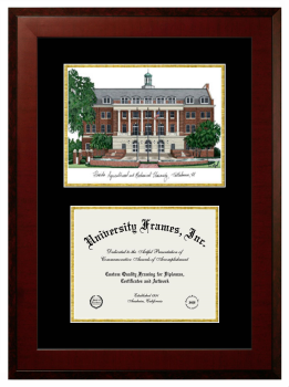 Florida A&M University College of Law Double Opening with Campus Image (Unimprinted Mat) Frame in Honors Mahogany with Black & Gold Mats for document: 8 1/2"h x 11"w  
