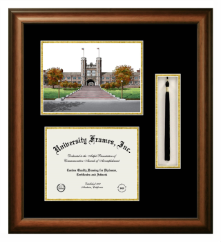 Washington University in St. Louis School of Medicine Double Opening with Campus Image & Tassel Box (Stacked) Frame in Satin Walnut with Black & Gold Mats for document: 8 1/2"h x 11"w  
