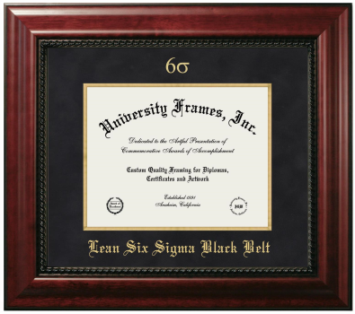 Lean Six Sigma Black Belt Diploma Frame in Executive with Gold Fillet with Black Suede Mat for document: 8 1/2"h x 11"w  
