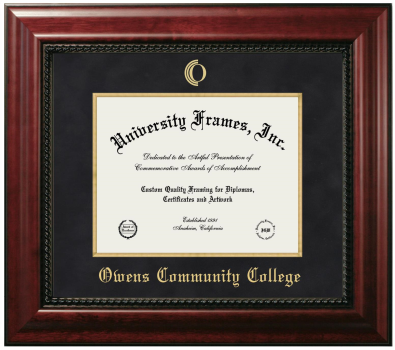 Owens Community College Diploma Frame in Executive with Gold Fillet with Black Suede Mat for document: 8 1/2"h x 11"w  