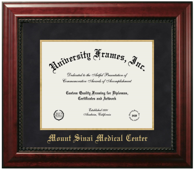 Mount Sinai Medical Center Diploma Frame in Executive with Gold Fillet with Black Suede Mat for document: 11"h x 14"w  
