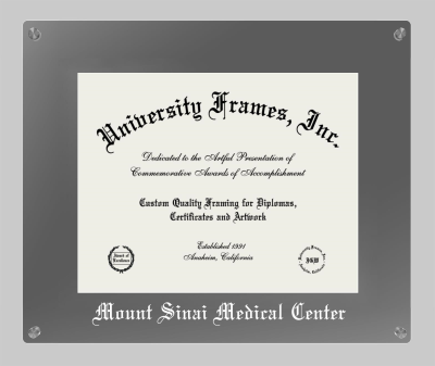 Mount Sinai Medical Center Lucent Clear-over-Smoke Frame in Lucent Smoke Moulding with Lucent Smoke Mat for document: 11"h x 14"w  