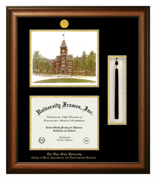 Ohio State University College of Food, Agricultural and Environmental Sciences Double Opening with Campus Image & Tassel Box (Stacked) Frame in Satin Walnut with Black & Gold Mats for document: 8 1/2"h x 11"w  