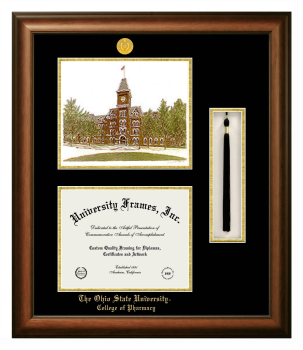 Ohio State University College of Pharmacy Double Opening with Campus Image & Tassel Box (Stacked) Frame in Satin Walnut with Black & Gold Mats for document: 8 1/2"h x 11"w  