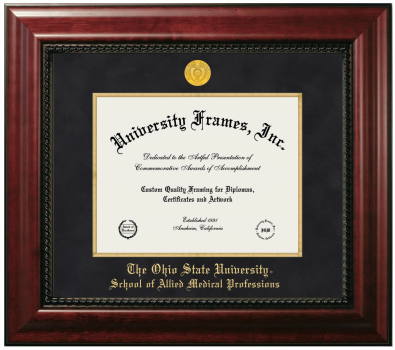Ohio State University School of Allied Medical Professions Diploma Frame in Executive with Gold Fillet with Black Suede Mat for document: 8 1/2"h x 11"w  