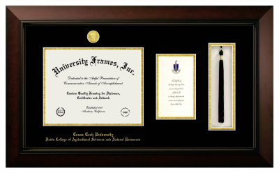 Texas Tech University  Davis College of Agricultural Sciences and Natural Resources Diploma with Announcement & Tassel Box Frame in Legacy Black Cherry with Black & Gold Mats for document: 8 1/2"h x 11"w  , diploma: 7"h x 4"w  