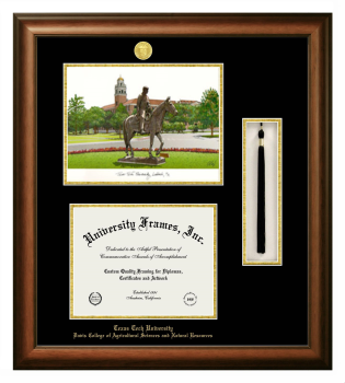 Texas Tech University  Davis College of Agricultural Sciences and Natural Resources Double Opening with Campus Image & Tassel Box (Stacked) Frame in Satin Walnut with Black & Gold Mats for document: 8 1/2"h x 11"w  