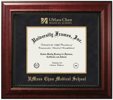 UMass Chan Medical School Diploma Frame in Executive with Gold Fillet with Black Suede Mat for document: 8 1/2"h x 11"w  