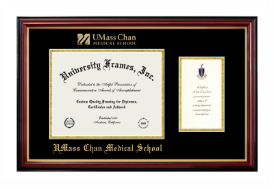 UMass Chan Medical School Diploma with Announcement Frame in Petite Mahogany with Gold Trim with Black & Gold Mats for document: 8 1/2"h x 11"w  , diploma: 7"h x 4"w  