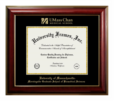 University of Massachusetts Morningside Graduate School of Biomedical Sciences Diploma Frame in Classic Mahogany with Gold Trim with Black & Gold Mats for document: 8 1/2"h x 11"w  