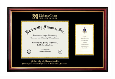 University of Massachusetts Morningside Graduate School of Biomedical Sciences Diploma with Announcement Frame in Petite Mahogany with Gold Trim with Black & Gold Mats for document: 8 1/2"h x 11"w  , diploma: 7"h x 4"w  