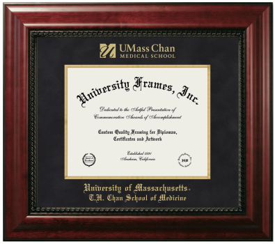 University of Massachusetts T.H. Chan School of Medicine Diploma Frame in Executive with Gold Fillet with Black Suede Mat for document: 8 1/2"h x 11"w  