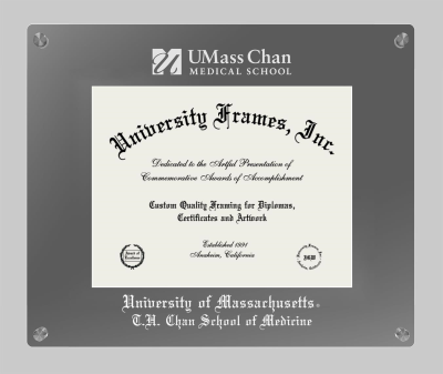 University of Massachusetts T.H. Chan School of Medicine Lucent Clear-over-Smoke Frame in Lucent Smoke Moulding with Lucent Smoke Mat for document: 8 1/2"h x 11"w  