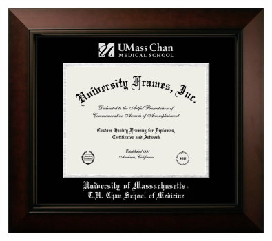 University of Massachusetts T.H. Chan School of Medicine Diploma Frame in Legacy Black Cherry with Black & Silver Mats for document: 8 1/2"h x 11"w  
