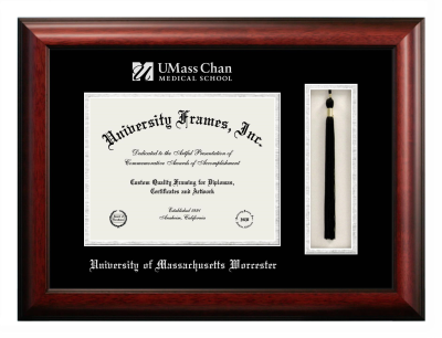 University of Massachusetts Worcester Diploma with Tassel Box Frame in Satin Mahogany with Black & Silver Mats for document: 8 1/2"h x 11"w  
