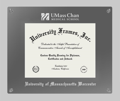 University of Massachusetts Worcester Lucent Clear-over-Smoke Frame in Lucent Smoke Moulding with Lucent Smoke Mat for document: 8 1/2"h x 11"w  