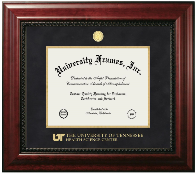 University of Tennessee Health Science Center Diploma Frame in Executive with Gold Fillet with Black Suede Mat for document: 8 1/2"h x 11"w  