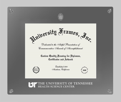 University of Tennessee Health Science Center Lucent Clear-over-Smoke Frame in Lucent Smoke Moulding with Lucent Smoke Mat for document: 8 1/2"h x 11"w  