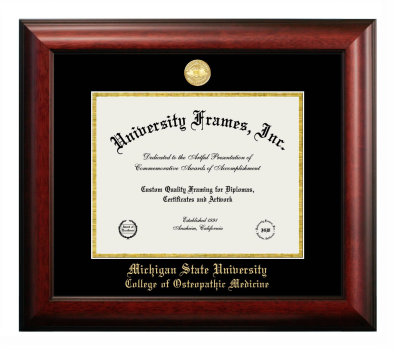 Michigan State University College of Osteopathic Medicine Diploma Frame in Satin Mahogany with Black & Gold Mats for document: 8 1/2"h x 11"w  