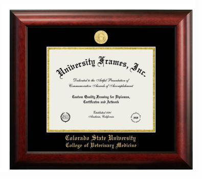 Colorado State University College of Veterinary Medicine Diploma Frame in Satin Mahogany with Black & Gold Mats for document: 8 1/2"h x 11"w  