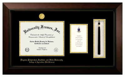 Virginia Polytechnic Institute and State University College of Agriculture Life Sciences Diploma with Announcement & Tassel Box Frame in Legacy Black Cherry with Black & Gold Mats for document: 8 1/2"h x 11"w  , diploma: 7"h x 4"w  