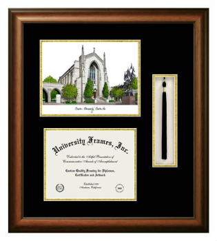 Boston University School of Medicine Double Opening with Campus Image & Tassel Box (Stacked) Frame in Satin Walnut with Black & Gold Mats for document: 8 1/2"h x 11"w  