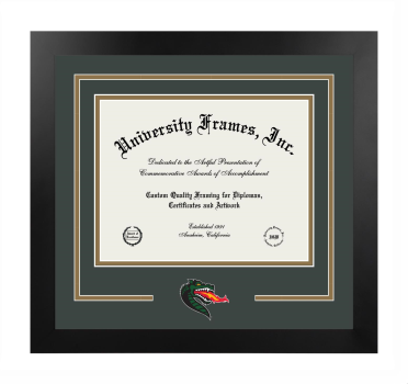 University of Alabama at Birmingham Logo Mat Frame in Manhattan Black with Forest Green & Bronze Mats for document: 8 1/2"h x 11"w  