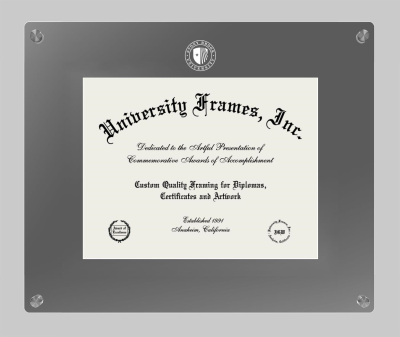 Stony Brook Medicine Lucent Clear-over-Smoke Frame in Lucent Smoke Moulding with Lucent Smoke Mat for document: 8 1/2"h x 11"w  