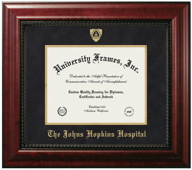 The Johns Hopkins Hospital Diploma Frame in Executive with Gold Fillet with Black Suede Mat for document: 8 1/2"h x 11"w  