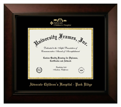 Advocate Children's Hospital - Park Ridge Diploma Frame in Legacy Black Cherry with Black & Gold Mats for document: 8 1/2"h x 11"w  