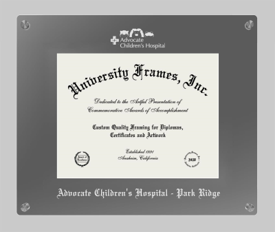 Advocate Children's Hospital - Park Ridge Lucent Clear-over-Smoke Frame in Lucent Smoke Moulding with  Mat for document: 8 1/2"h x 11"w  