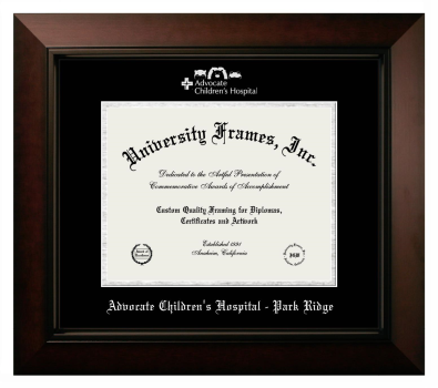 Advocate Children's Hospital - Park Ridge Diploma Frame in Legacy Black Cherry with Black & Silver Mats for document: 8 1/2"h x 11"w  