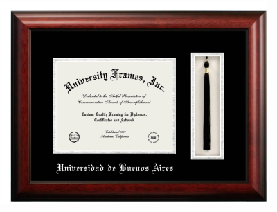 Universidad de Buenos Aires Diploma with Tassel Box Frame in Satin Mahogany with Black & Silver Mats for document: 8 1/2"h x 11"w  