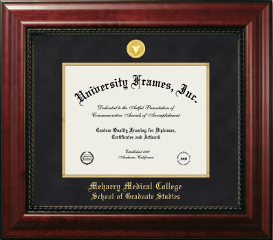 Meharry Medical College School of Graduate Studies Diploma Frame in Executive with Gold Fillet with Black Suede Mat for document: 8 1/2"h x 11"w  